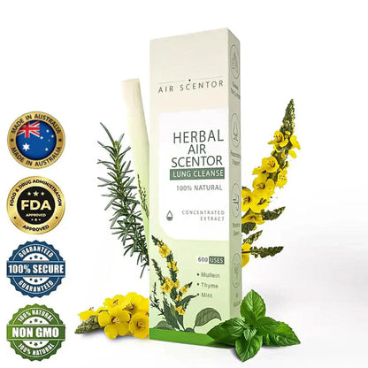 🔥Mullein Aroma Air Scentor – Relief for Cough, Congestion & Breathing Comfort2.0💝