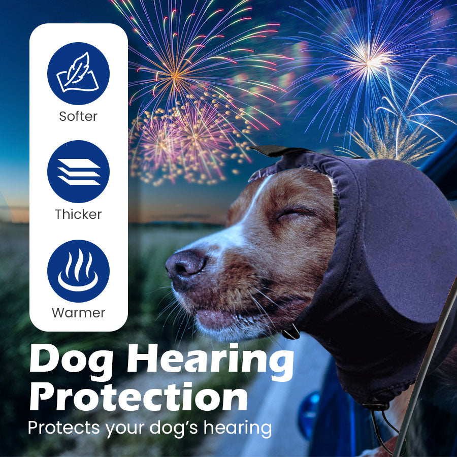 Dog hearing protection