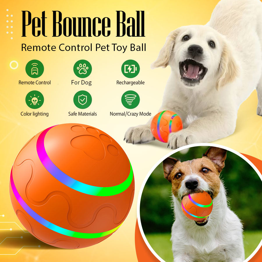 🏀Pet Bounce Ball