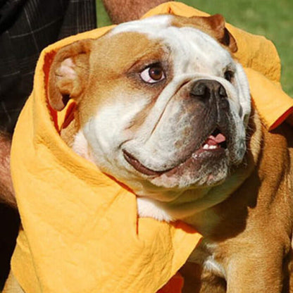 Miracle Super Absorbent Multi Surface Cloth